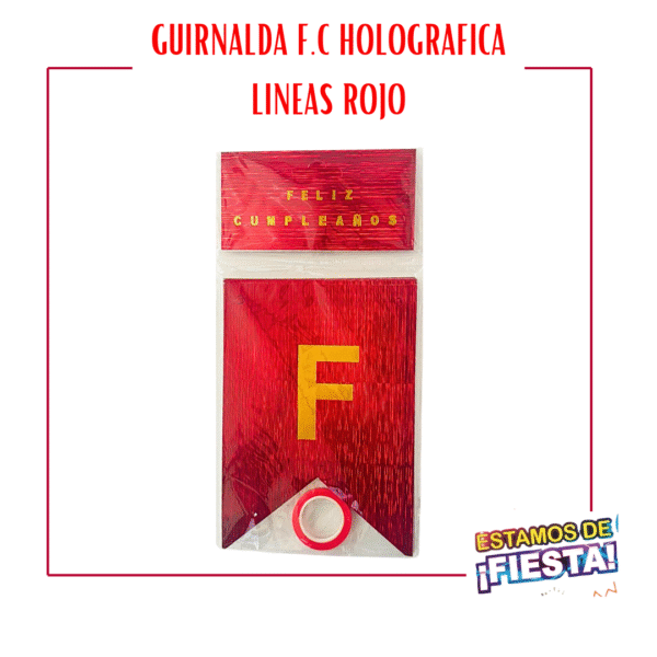 209 Guirnalda Holográfica